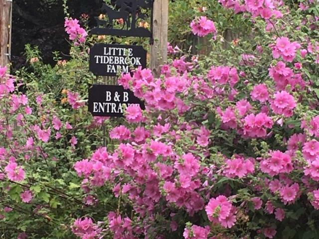 مبيت وإفطار Wadhurst Little Tidebrook Farm المظهر الخارجي الصورة